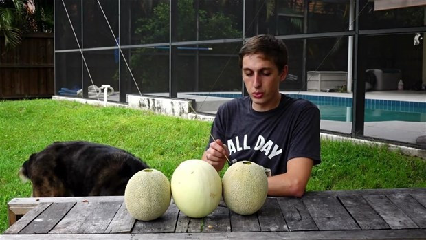 Kavunları delip içine alüminyum döktü! Sonuç şaşırttı - Resim: 4