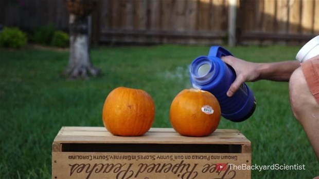 Balkabağına alüminyum dökülürse ne olur? - Resim: 1