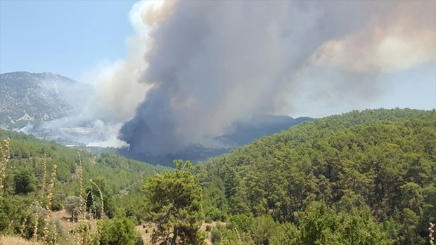 Antalya Kumluca alev alev yanıyor - Resim: 2