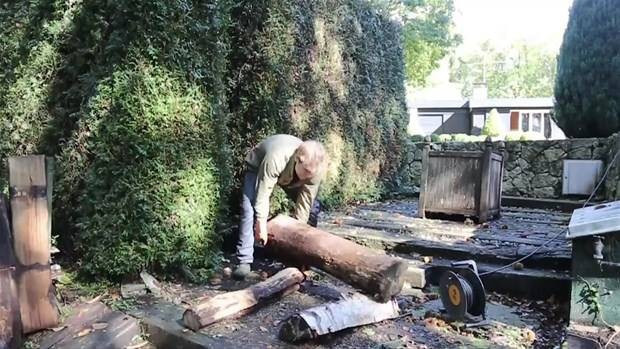 Ağaç kütüğünden yaptığına bakın yok artık diyeceksiniz - Resim: 1