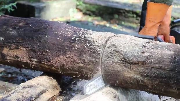 Ağaç kütüğünden yaptığına bakın yok artık diyeceksiniz - Resim: 3