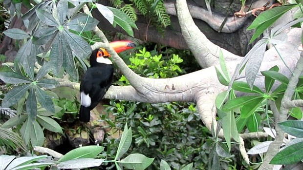 Dubai Dünyanın en yeşil kenti olacak - Resim: 4