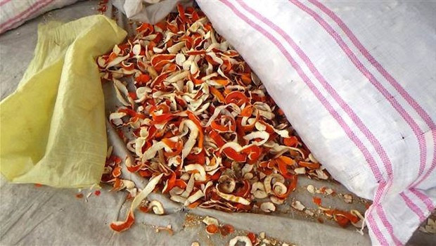 Kabuğu kendisinden 5 kat daha pahalı! - Resim: 2