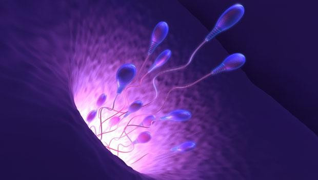 Batılı erkeklerin sperm sayısı yarı yarıya azaldı! - Resim: 2