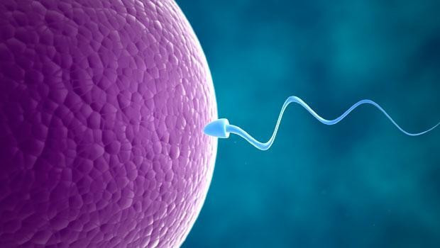 Batılı erkeklerin sperm sayısı yarı yarıya azaldı! - Resim: 3