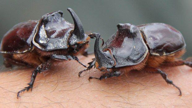 29 Haziran - 6 Temmuz tarihlerinde ne aradık - Resim: 2