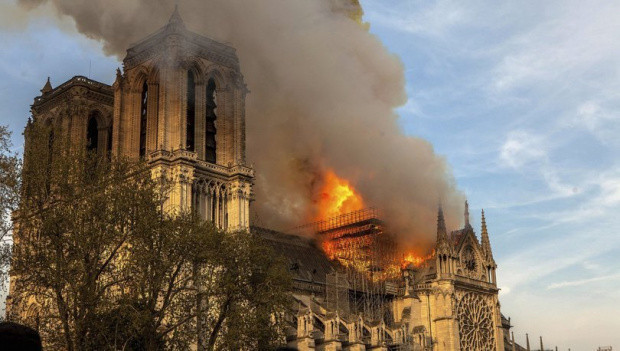 Notre Dame'ın çatısında yaşayan 200 bin arı yangından sağ kurtulmuş! - Resim: 0