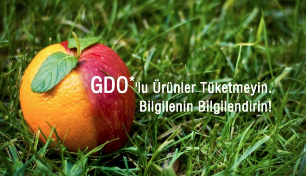 Alerjiyi artıran bu besinlere dikkat edin! Çocuklar üzerindeki büyük tehlike - Resim: 2