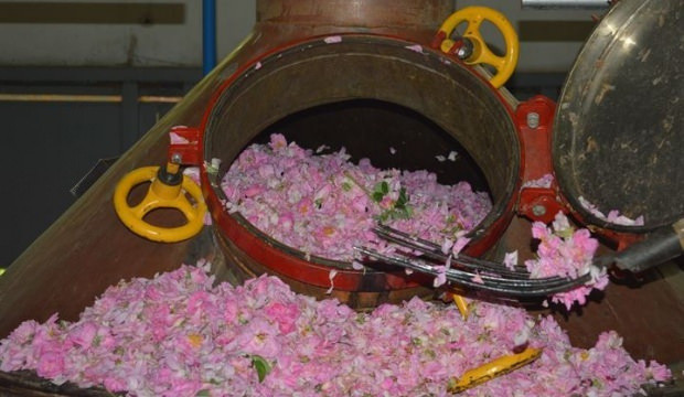 Türkiye'den Çin hamlesi! Kilosu 15 bin Euro - Resim: 1