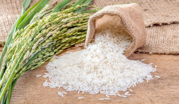 Canan Karatay yasaklı gıdalar listesini açıkladı - Resim: 3