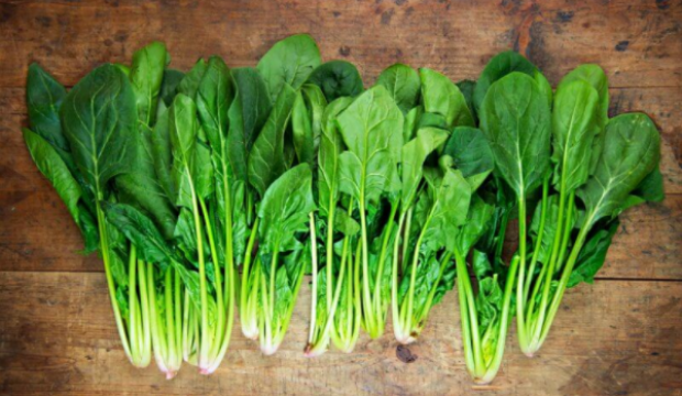 Ispanağın faydaları ıspanağı çiğ çiğ tüketmenin faydası inanılmaz! - Resim: 1