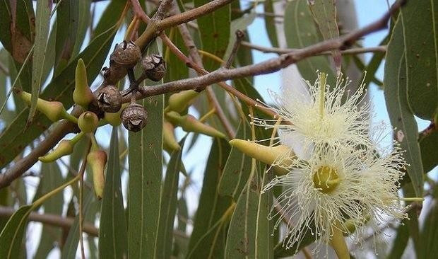 Sigarayı bırakırken işinize yarayacak bilgiler - Resim: 1