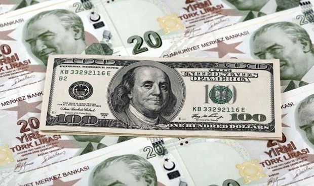 Merkez Bankası dolar müdahaleleri hangi hamle ne sonuç verdi? - Resim: 3