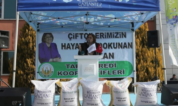 Gaziantep'te 2 milyon TL değerinde koyun süt yemi müjdesi - Resim: 1
