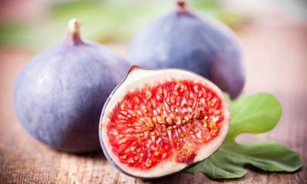 Canan Hoca üstüne basarak uyardı! Fazlası öldürüyor - Resim: 1