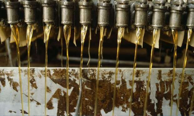 Palm yağı nedir? bebek mamasında bile var! - Resim: 1