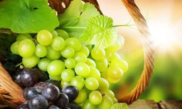 Üzüm afrodizyak etkisi ile mutluluk getiriyor - Resim: 1