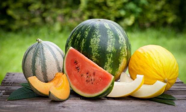 Kavun mu daha faydalı karpuz mu? - Resim: 4