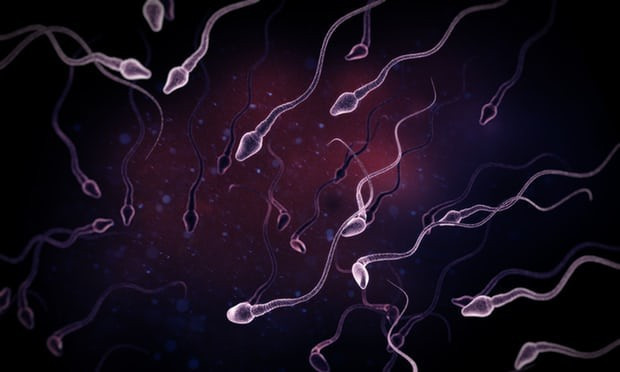 Batılı erkeklerin sperm sayısı yarı yarıya azaldı! - Resim: 1
