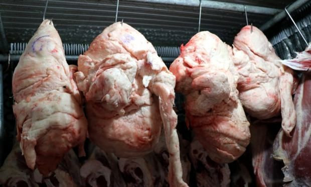 Canan Karatay yiyen 95 yaşına kadar yaşıyor dedi! Fiyatı yüzde 100 zamlandı - Resim: 4