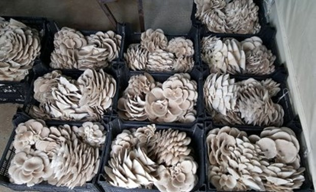 Google 2016'da en çok bu yemek tariflerini aradık - Resim: 4