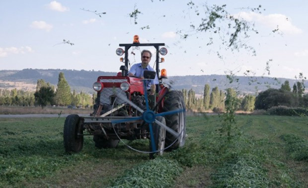 Çılgın Türkler! - Resim: 1