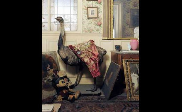 Terk edilmiş evden hazine çıktı - Resim: 4