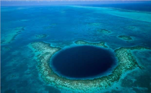 Kafasında gizli penis var! İlk kez böyle görüntülendi - Resim: 1