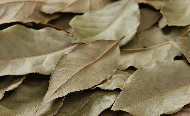 Defne yaprağının bilinmeyen faydaları - Resim: 3