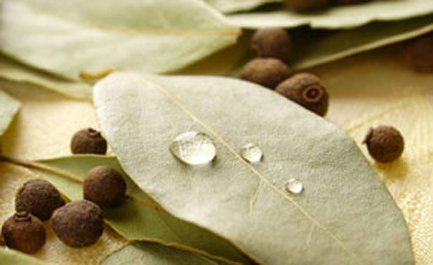 Defne yaprağının bilinmeyen faydaları - Resim: 4