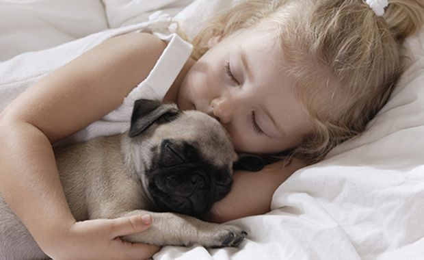 Evcil hayvan sahiplenmenin faydaları saymakla bitmiyor! - Resim: 1