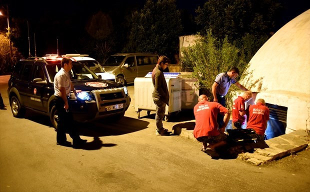 Yavru kediyi kedi sesleri ile çıkarttılar - Resim: 2