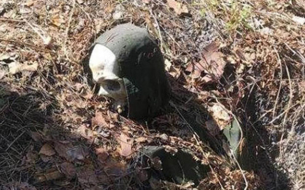 Kayıp rus gezginin ağaca kelepçeli iskeleti bulundu - Resim: 0