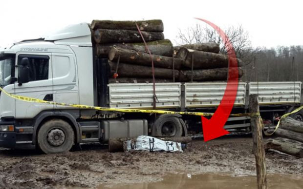 Sakarya'da dehşete düşüren ölüm - Resim: 0