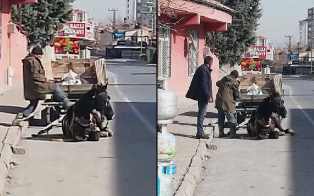 Kayseri'de vicdansızlık: Yorgunluktan yere çöken atını tekmeledi! - Resim: 0