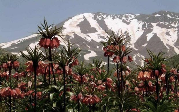 Cemre düşmesi nedir cemre düşünce neler oluyor? - Resim: 0