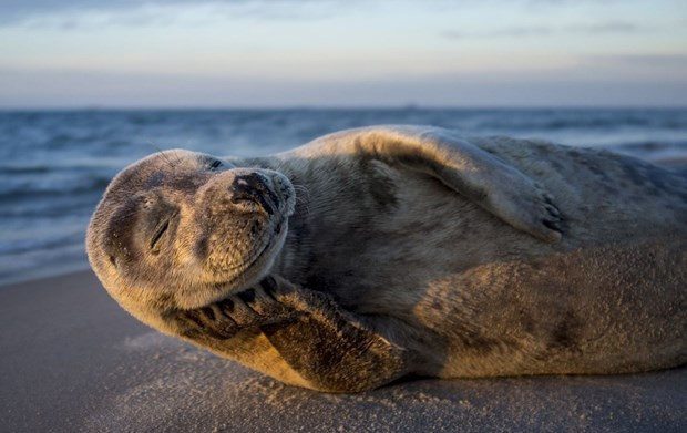 Olağanüstü fotoğraflar okuyucularla paylaşıldı  - Resim: 1