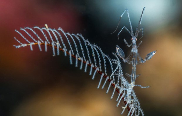 Olağanüstü fotoğraflar okuyucularla paylaşıldı  - Resim: 3