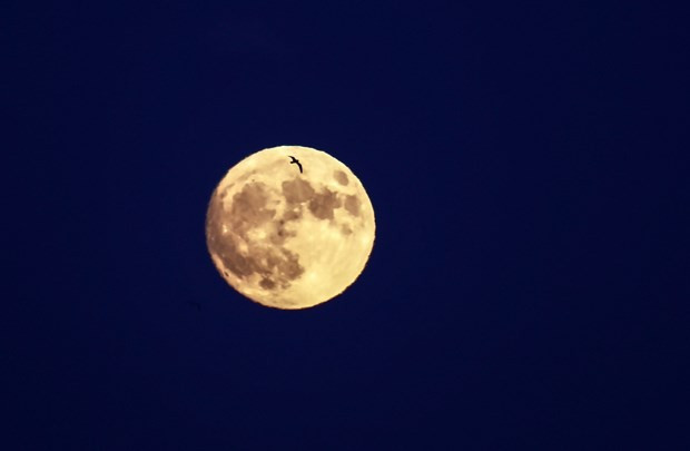 Süper Ay'da iyi fotoğraflar nasıl çekilir? - Resim: 4