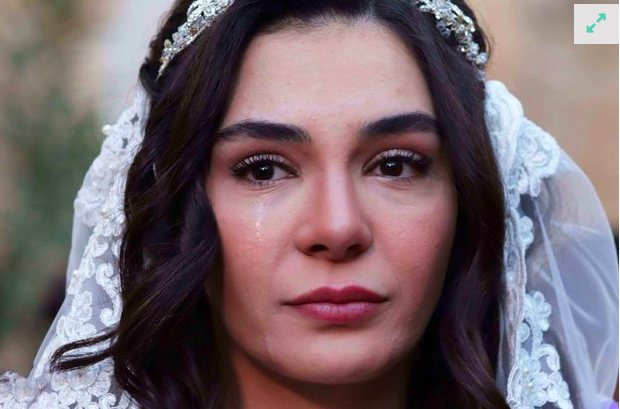 Hercai dizisi 6 bölüm sonra erken final yapıyor! ATV kararı duyurdu - Resim: 2