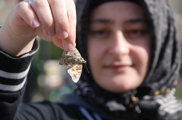 Kelebekler neden çoğaldı deprem habercisi mi? - Resim: 0