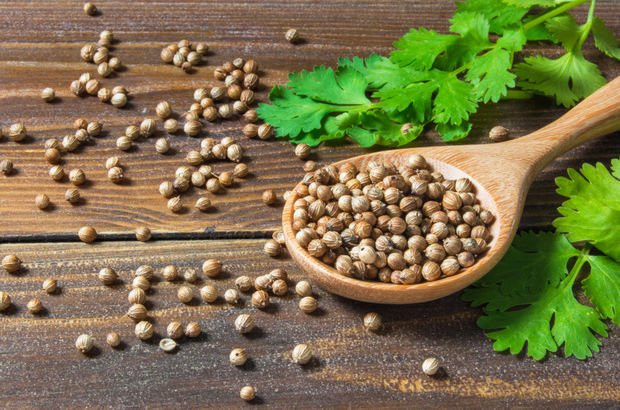 Yemeklere katılan bu baharat hastalıklara şifa oluyor! Her derdin çaresi bunda - Resim: 0