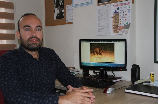 Marmaris'te yangınlardan sonra ilk defa görüntülendi: Fotokapana böyle yakalandı! - Resim: 0