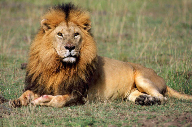 12 yaşında tecavüzcüler tarafından kaçırıldı sonra ise... İnanılmaz olay! - Resim: 3