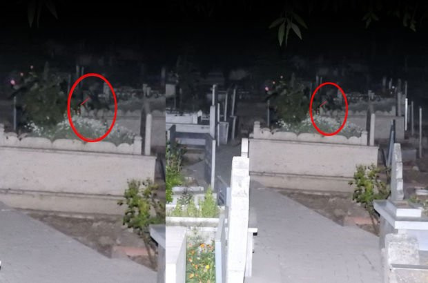 'Mezarlıktaki gizemli kız' için fotokapan - Resim: 3