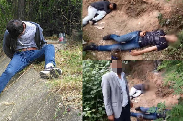 Anne babalar dikkat! Bonzai azaldı ama 'met' patladı - Resim: 2