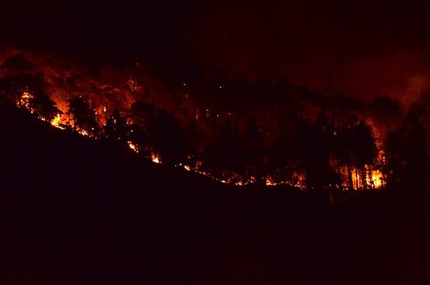 Trabzon yangında son durum evler boşaltıldı - Resim: 3