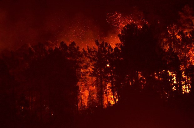 Trabzon yangında son durum evler boşaltıldı - Resim: 4