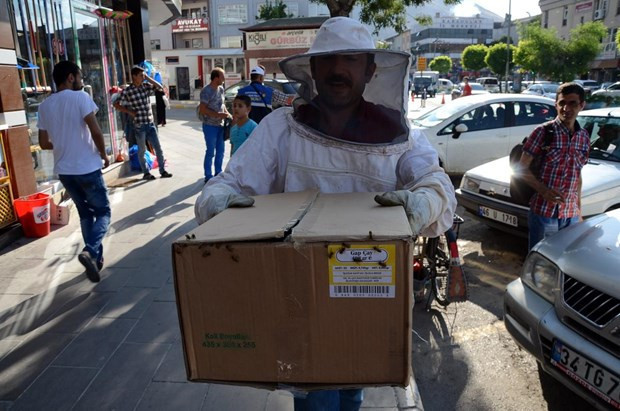 Kaçan arılar caddeyi sardı - Resim: 1