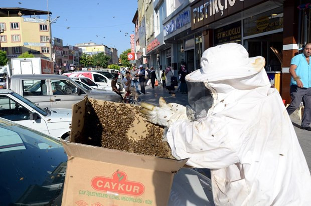 Kaçan arılar caddeyi sardı - Resim: 2
